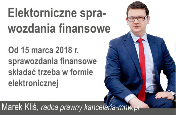 zp_elektr_sprawozd